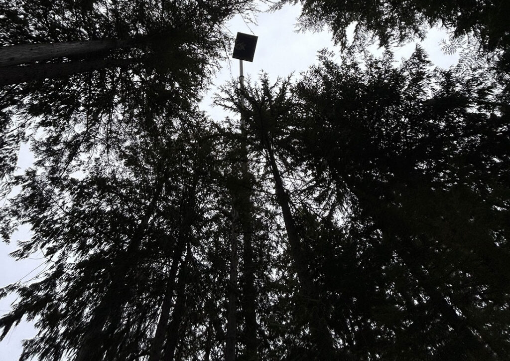 Sauna---Crane